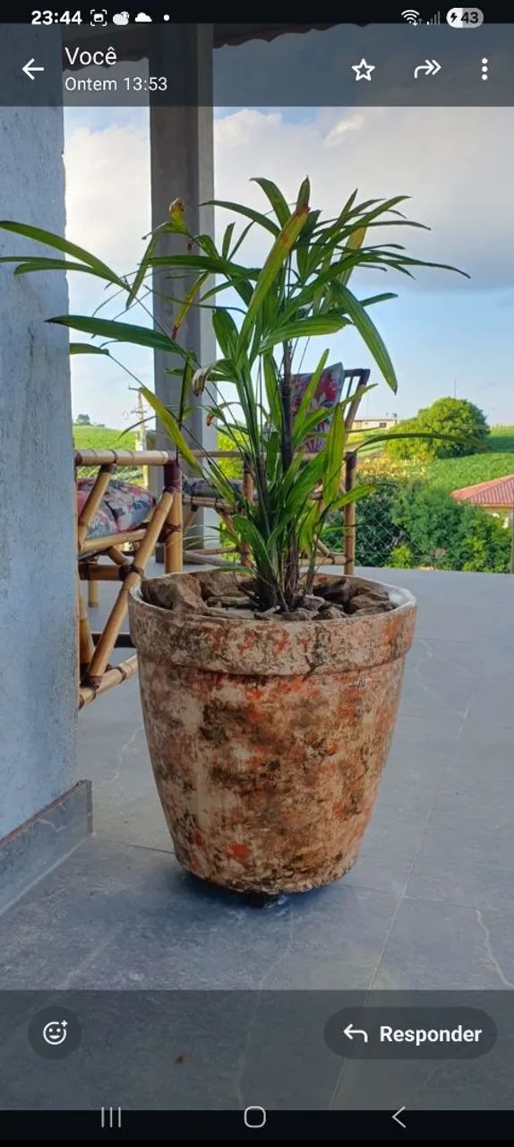 Vaso modelo romano de cimento.  Acabamento Resina acrilica Brilho acetinado *  - Foto 4