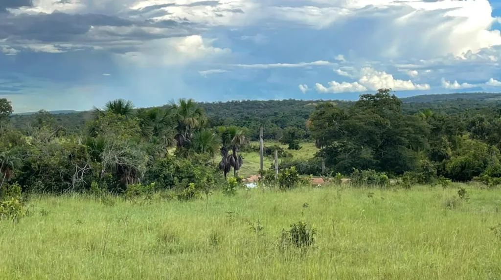 Fazenda 1.572 ha Aliança TO - Foto 2