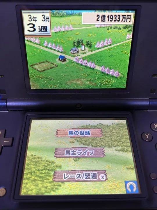 Jogo Nintendo DS Winner's Circle - Foto 3