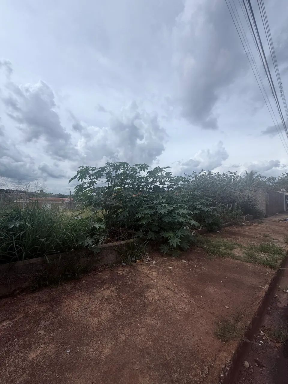 Terreno 420m Cidade Universitária - aceito veículos - Foto 3