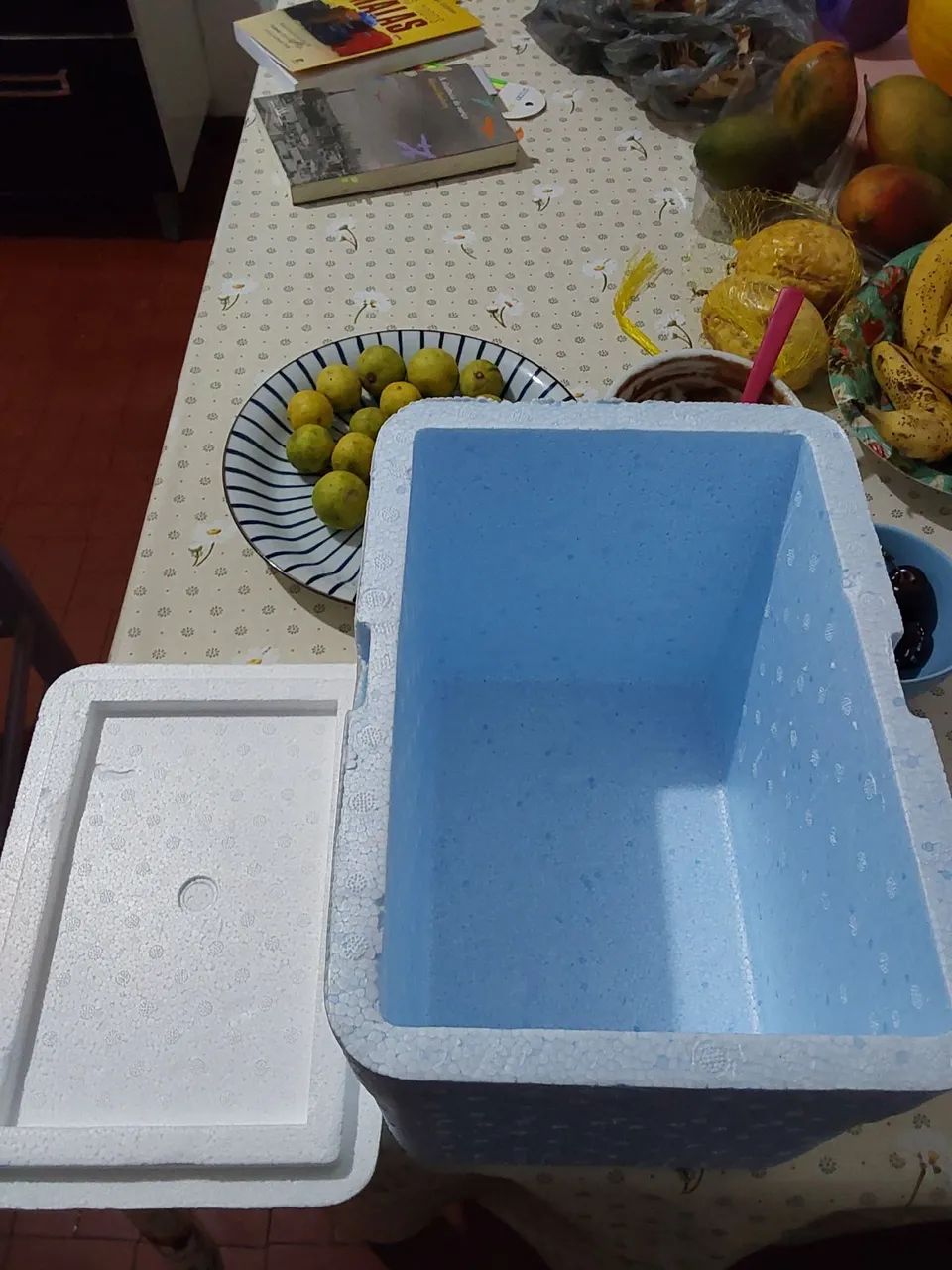 Caixa isopor - Foto 2