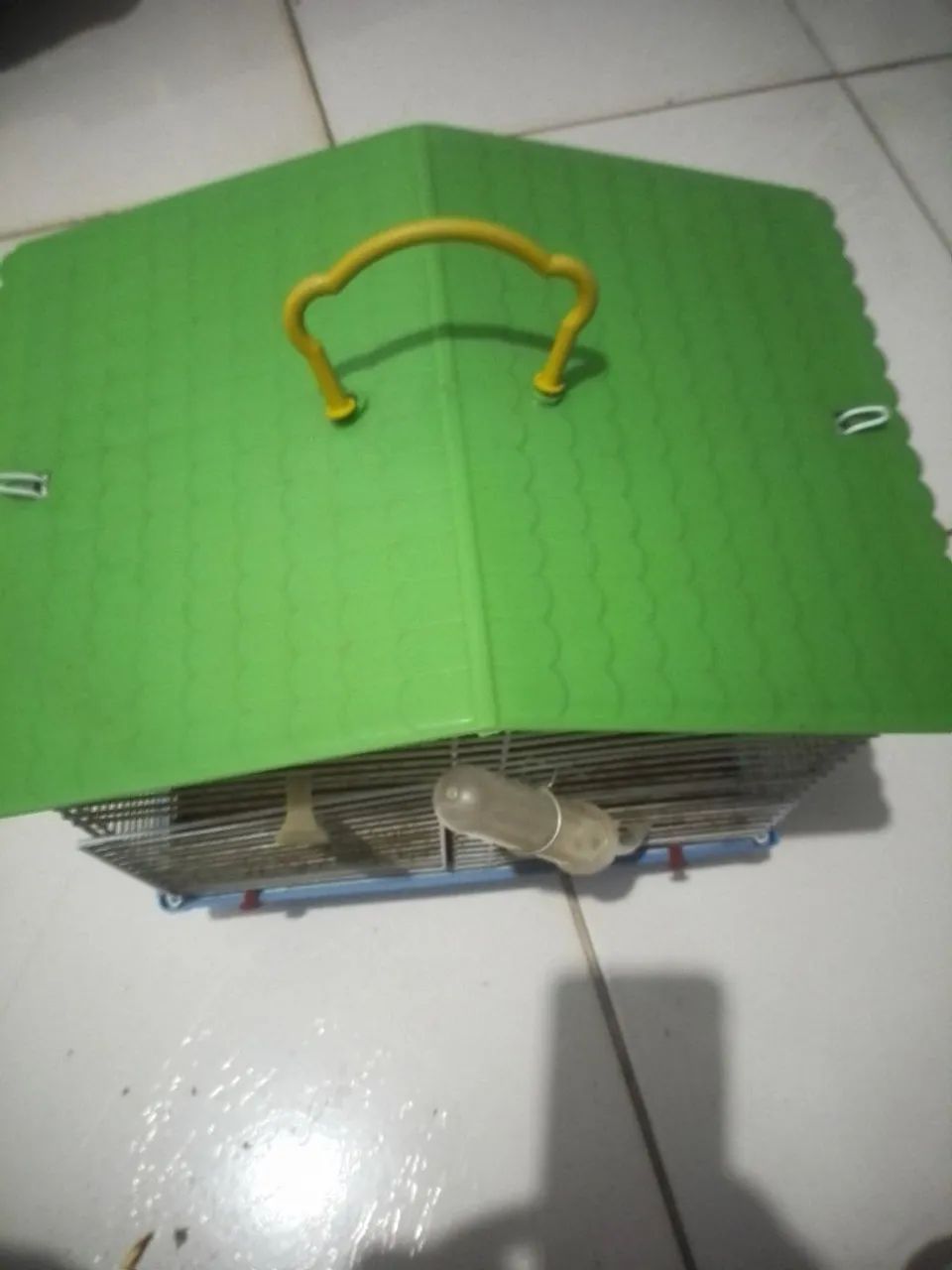 Gaiola para rato doméstico com teto verde