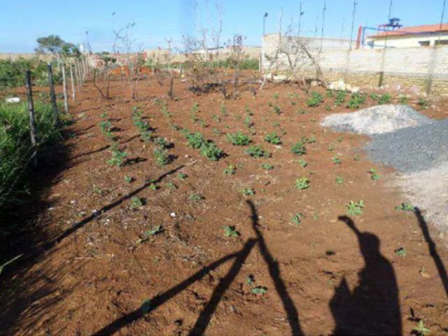 Lote, Residencial, Setor Morada Nova - Foto 3