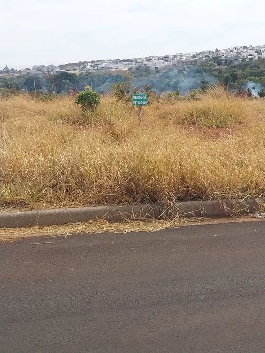 foto - Uberlândia - Aclimação