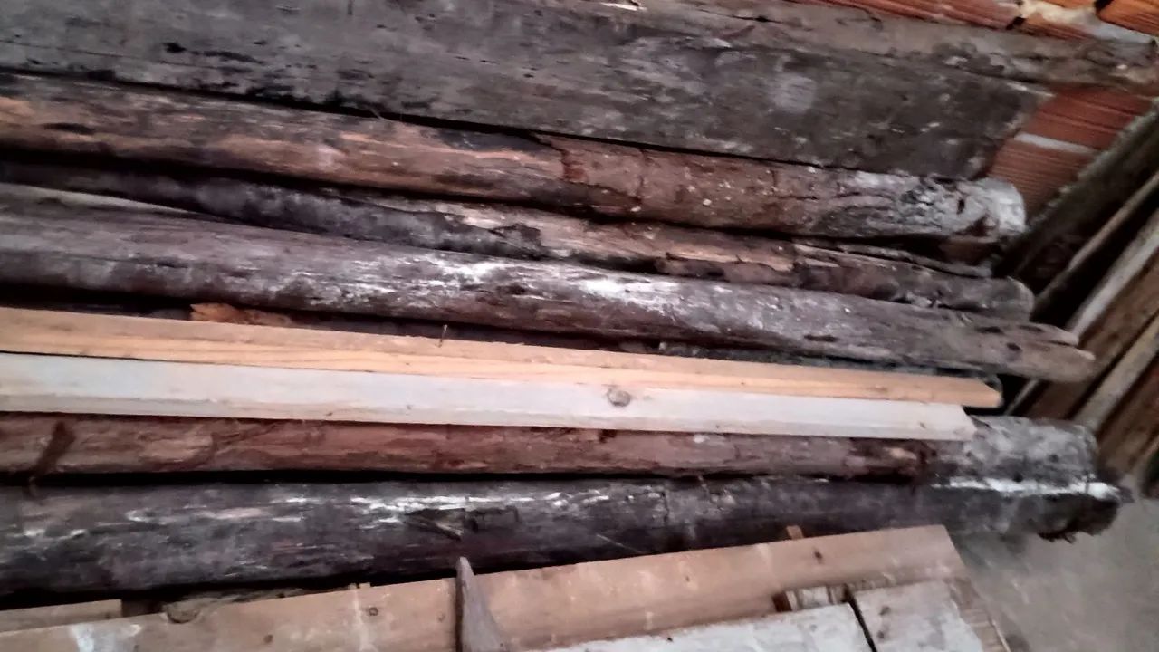 Vendo escora de eucalipto 3.metros e 50 cm cada não faço entrega. Frete a parte 