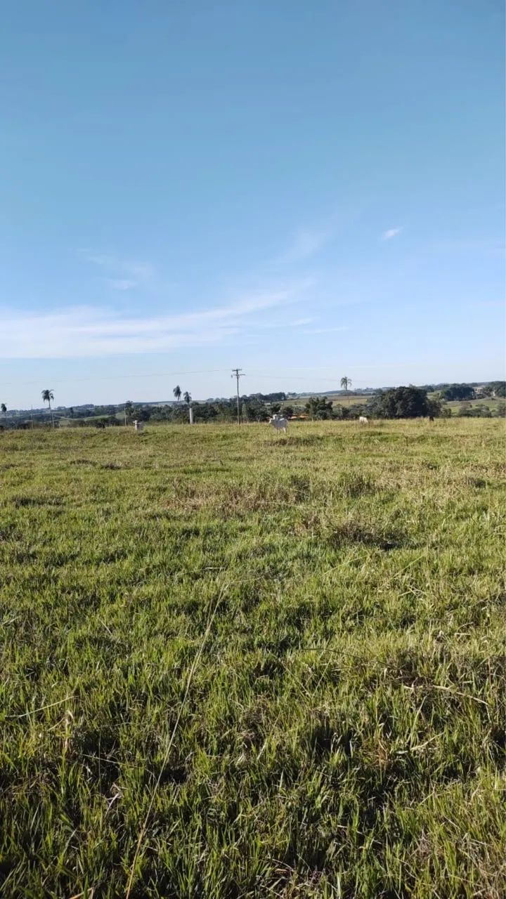 Foto - Fernandópolis - Vila Esplanada