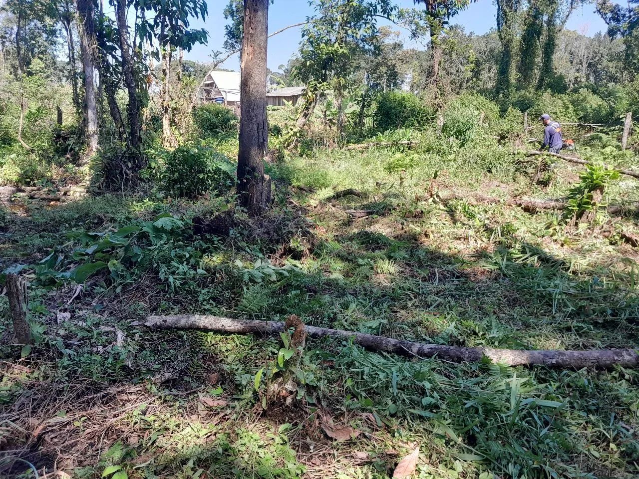 Terreno a Venda  - Foto 3