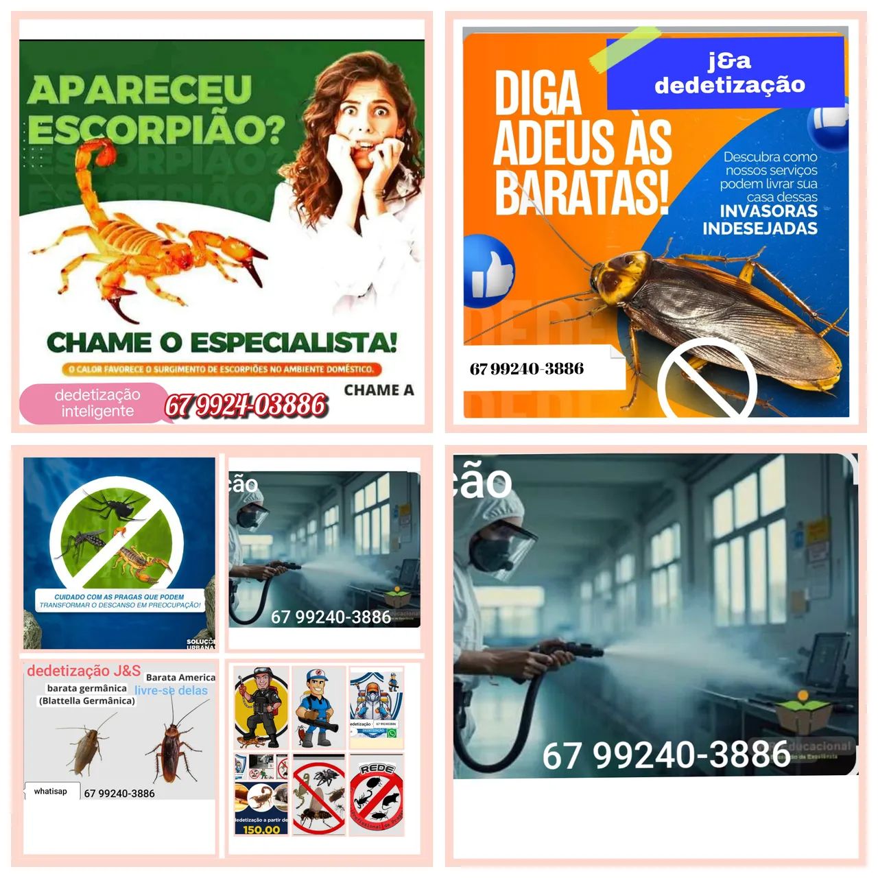 dedetização em residência e apt
