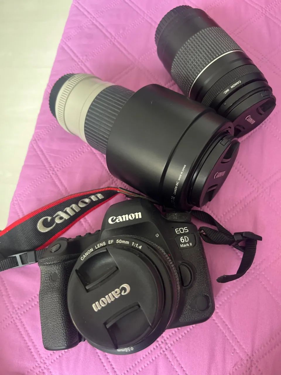Câmera Cânon EOS 6D markII e conjunto de lentes 