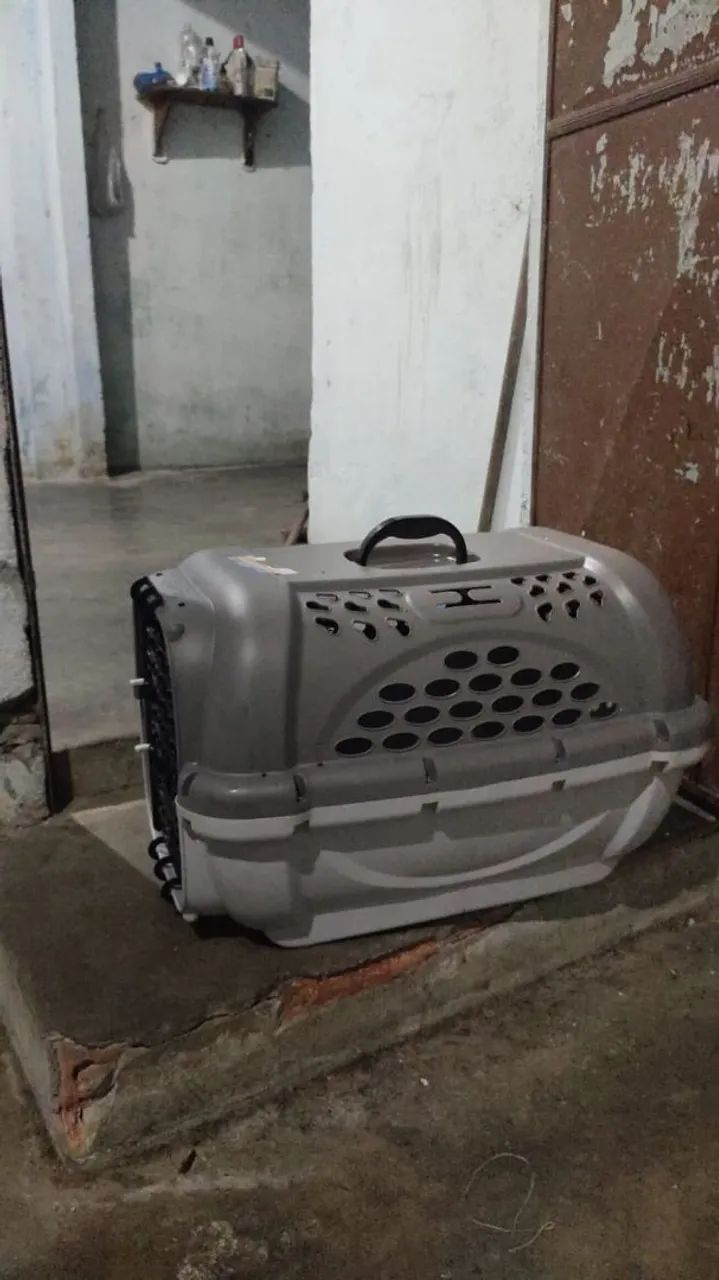 Caixa de Transporte + Caminha
