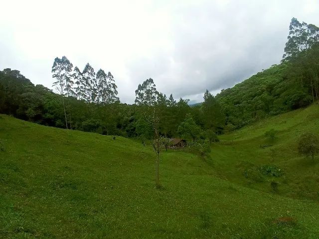 Vendo lindo sitio  - Foto 3