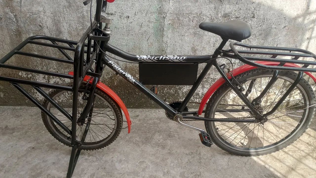 Bicicleta cargueira 