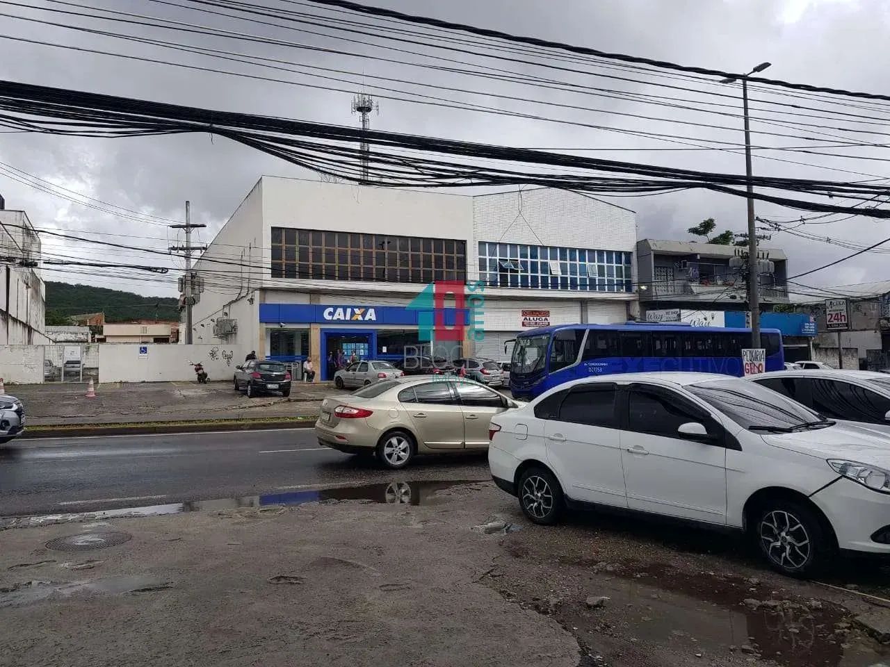 Campo Grande | Terreno - Foto 6