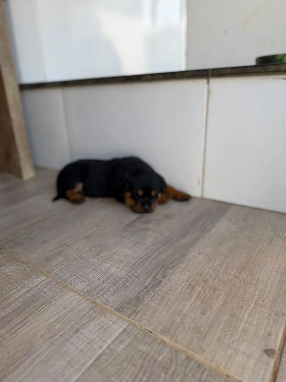 Vendo ou troco  - Foto 5