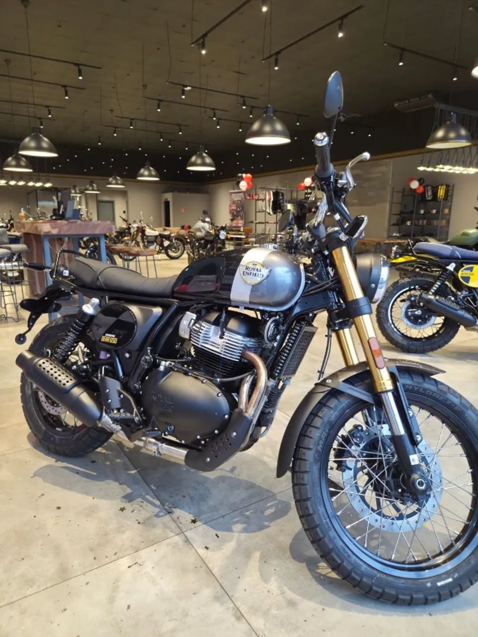 AM -INTERCEPTOR BEAR 650cc GOLDEN SHADOW - Foto 3