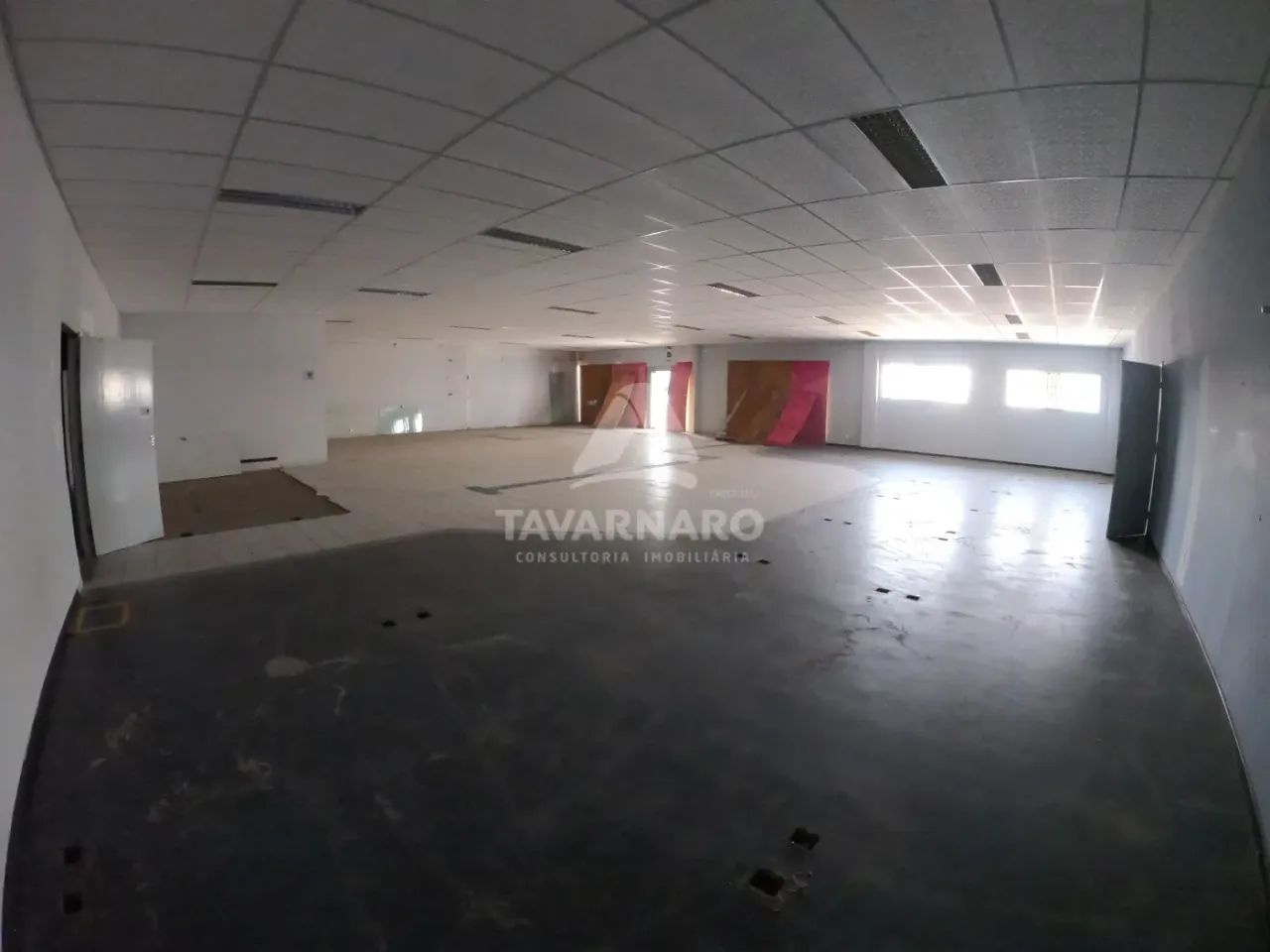 Comercial Loja em Ponta Grossa - Foto 4