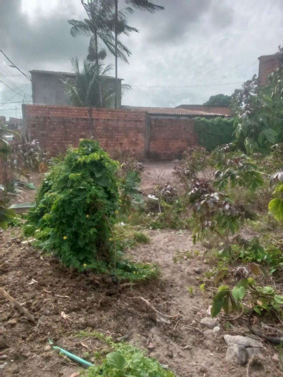 Vendo terreno de 27 de frente e 25 de fundo  - Foto 3