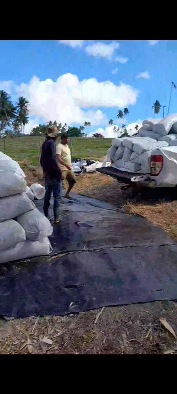 A SECA CHEGOU COMPRE SEU SILO DE CAPIM AGORA MESMO - Foto 2