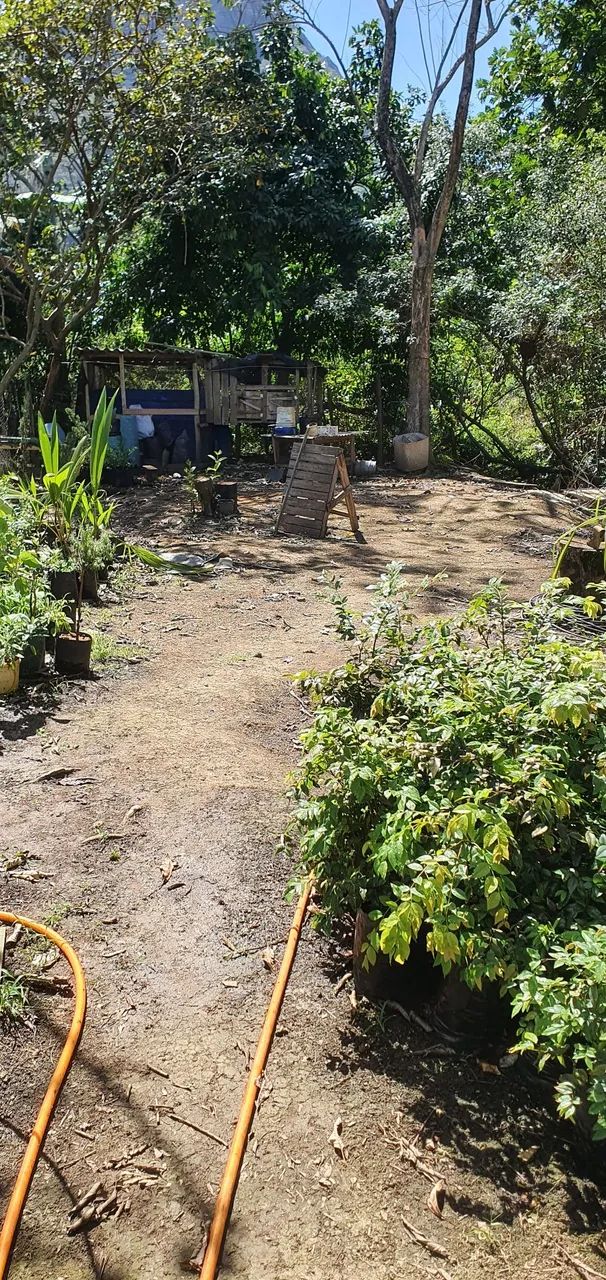 ? OPORTUNIDADE! CHÁCARA À VENDA EM NOVO BRASIL - CARIACICA/ES ? - Foto 3
