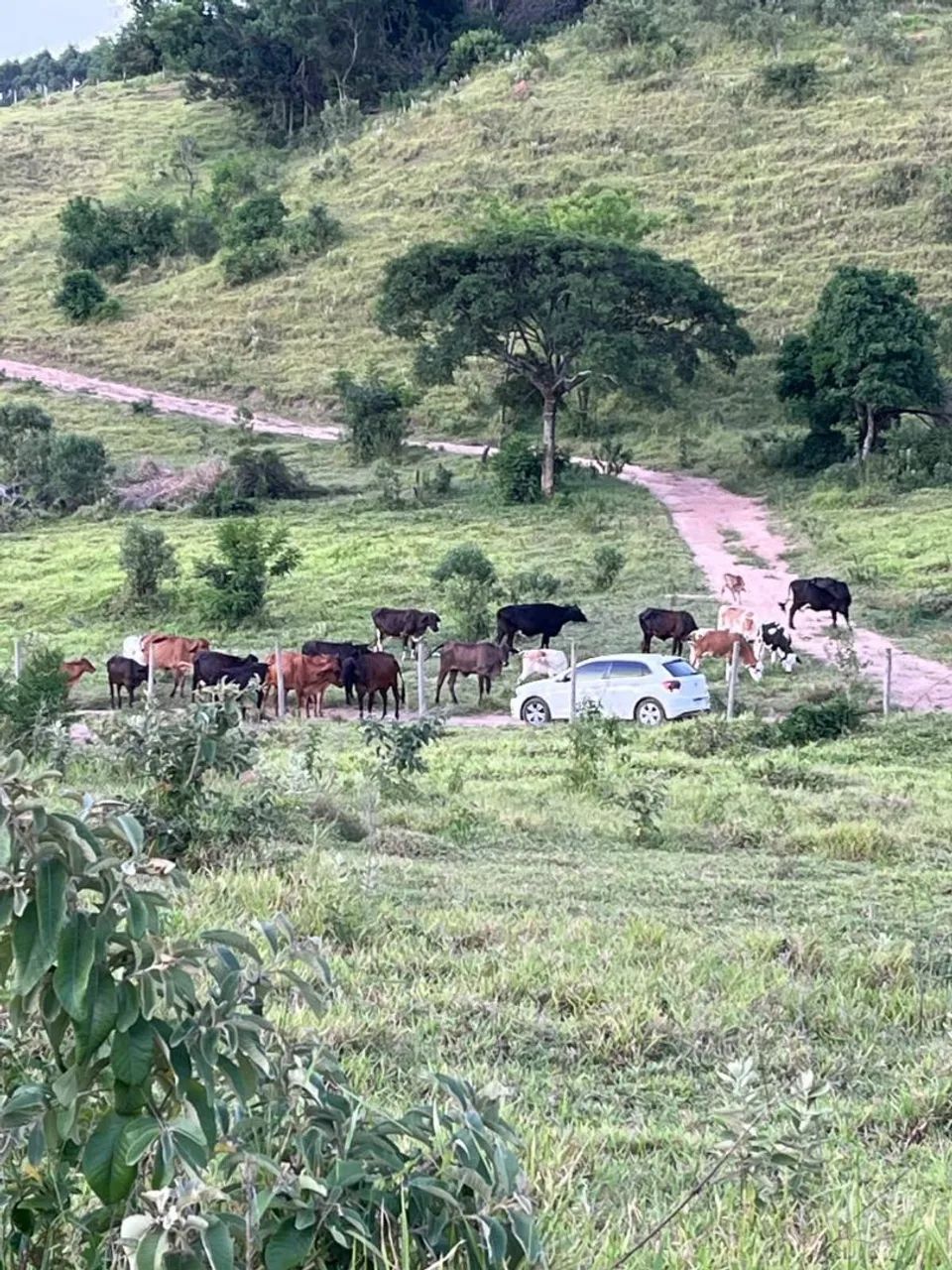 Oportunidade para sua chácara no Mato Dentro