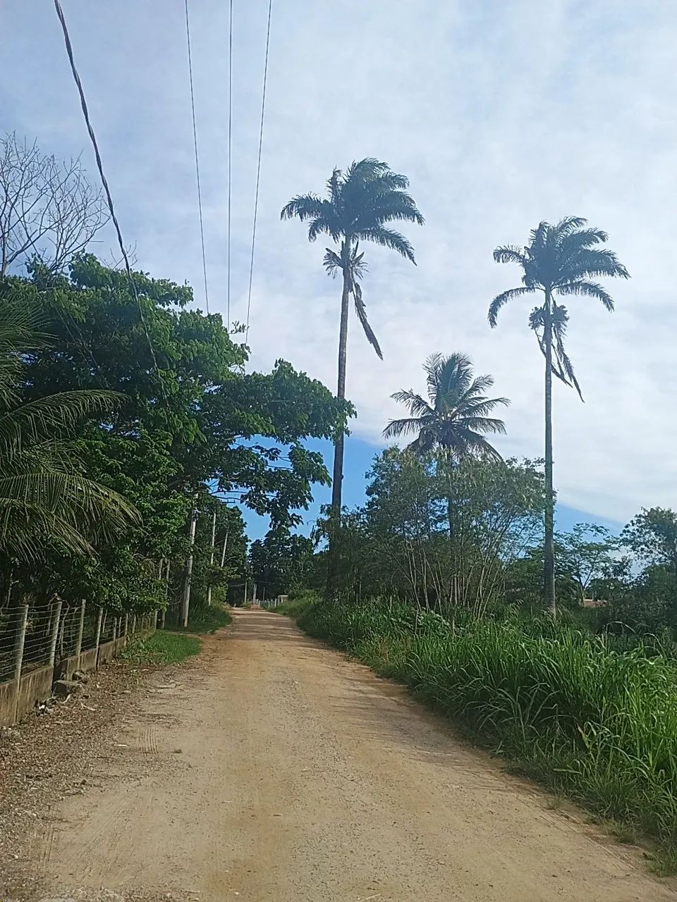 Vendo terreno no condomínio gravata  - Foto 4