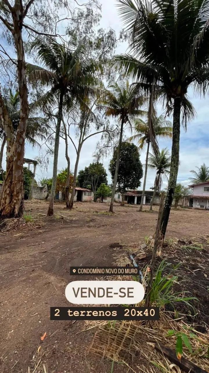 2 terrenos de 20x40 (800m² cada)