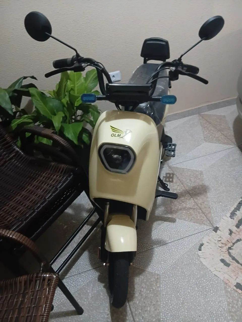 Moto elétrica 