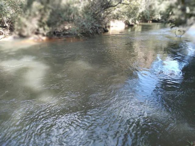 Chacara, com rio  - Foto 2