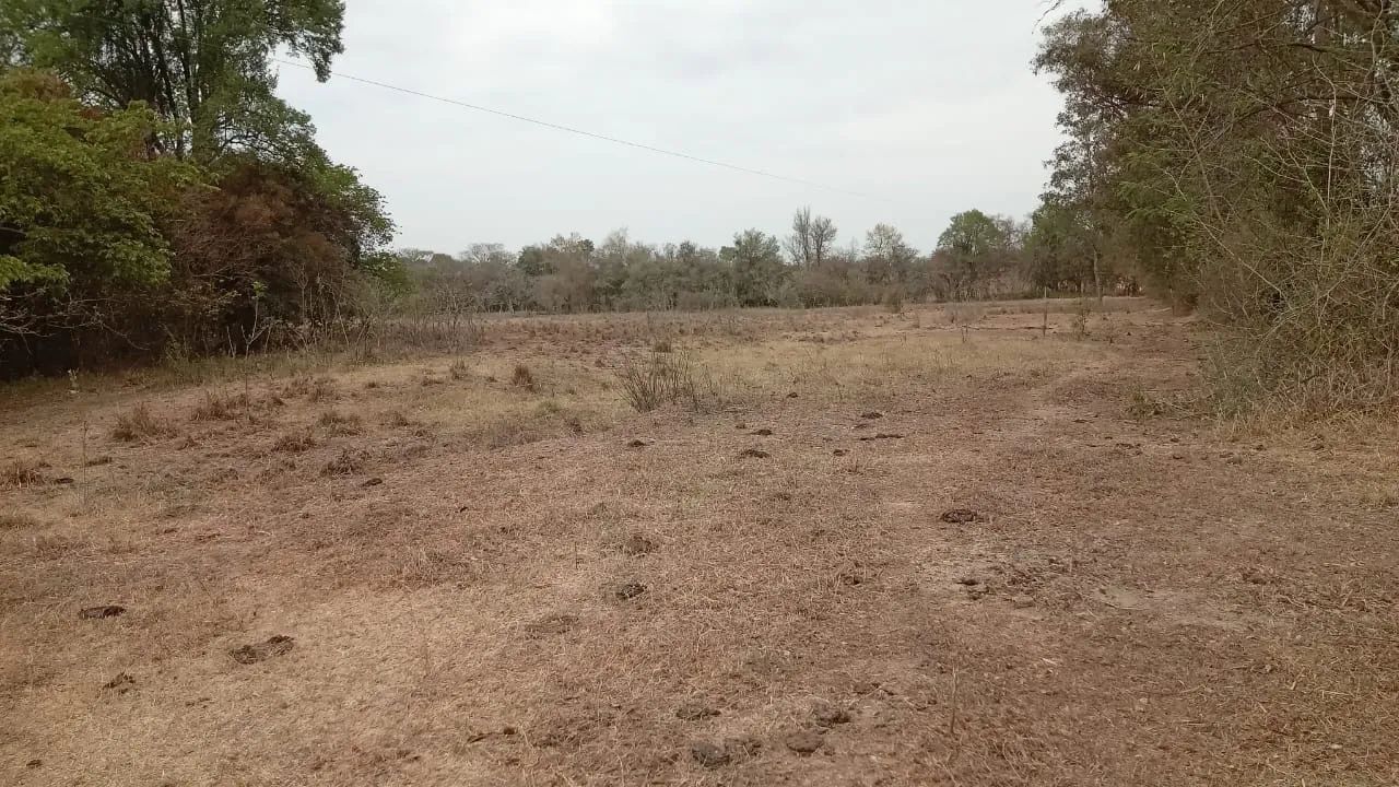 Sítio  - Foto 5