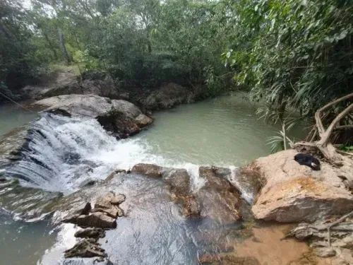Fazenda - Cavalcante (GO) - Foto 3