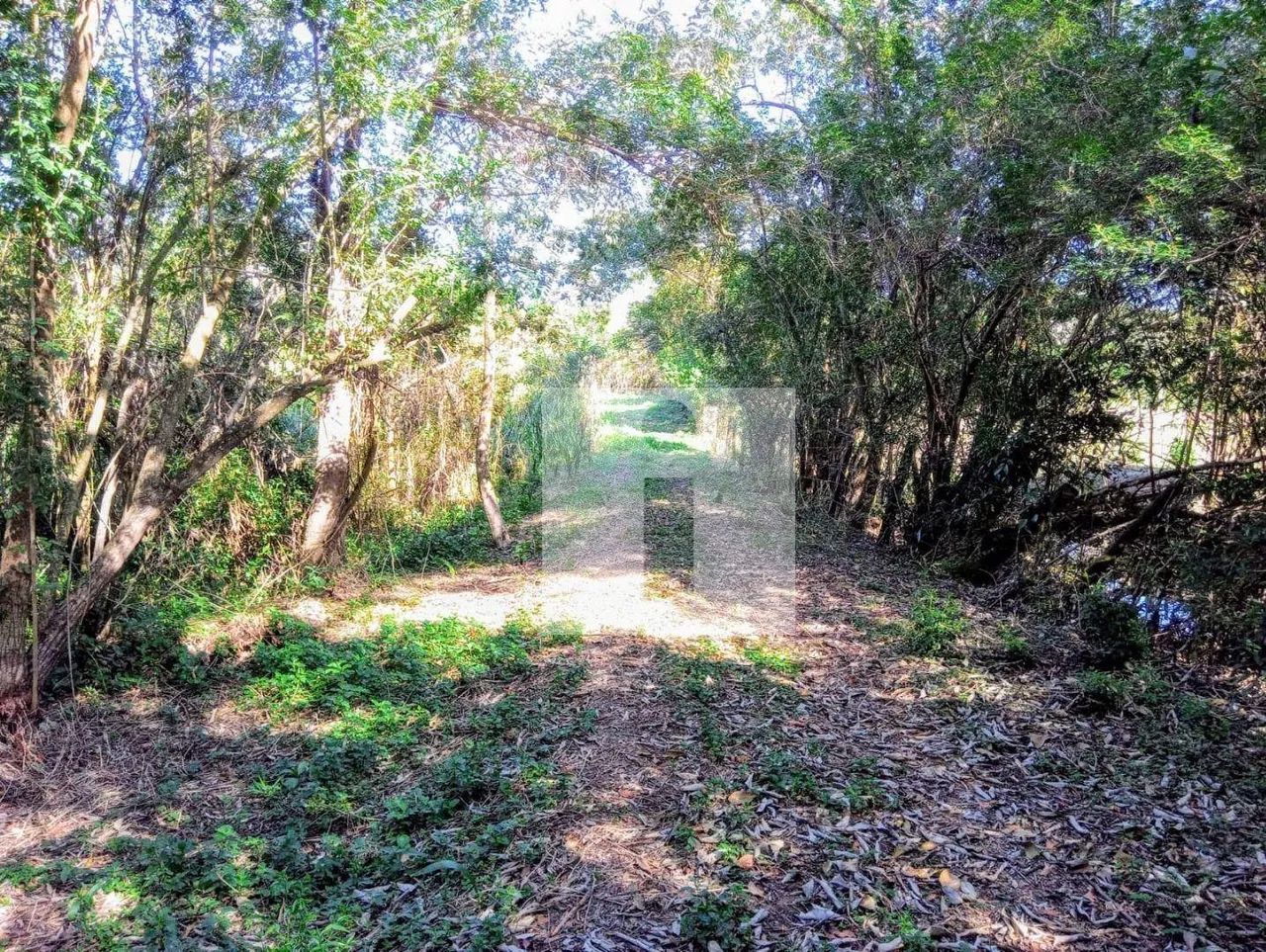 Chácara à venda, Bosques de Notre Dame - Campinas/SP - Foto 5