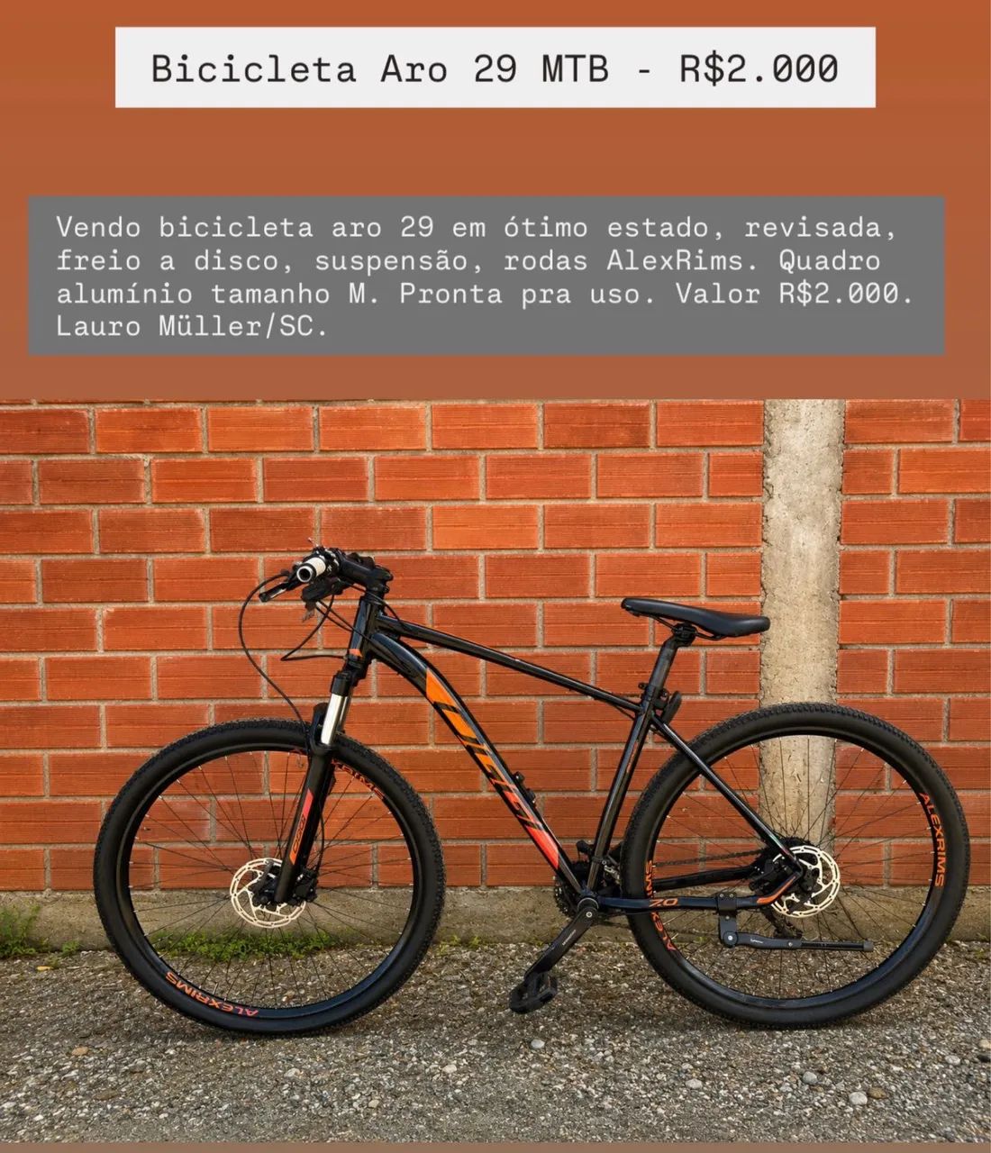 Bike oggi 7.0