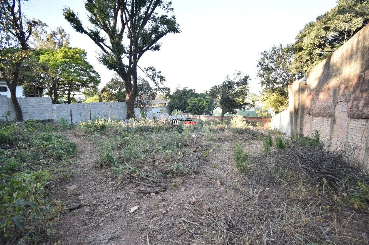 Lote com 500m² no bairro Santa Amélia - Foto 3