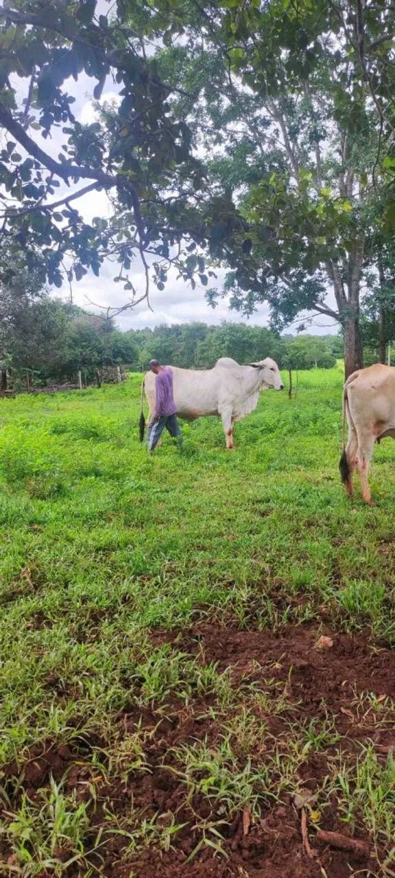 VENDO faça sua proposta  - Foto 2