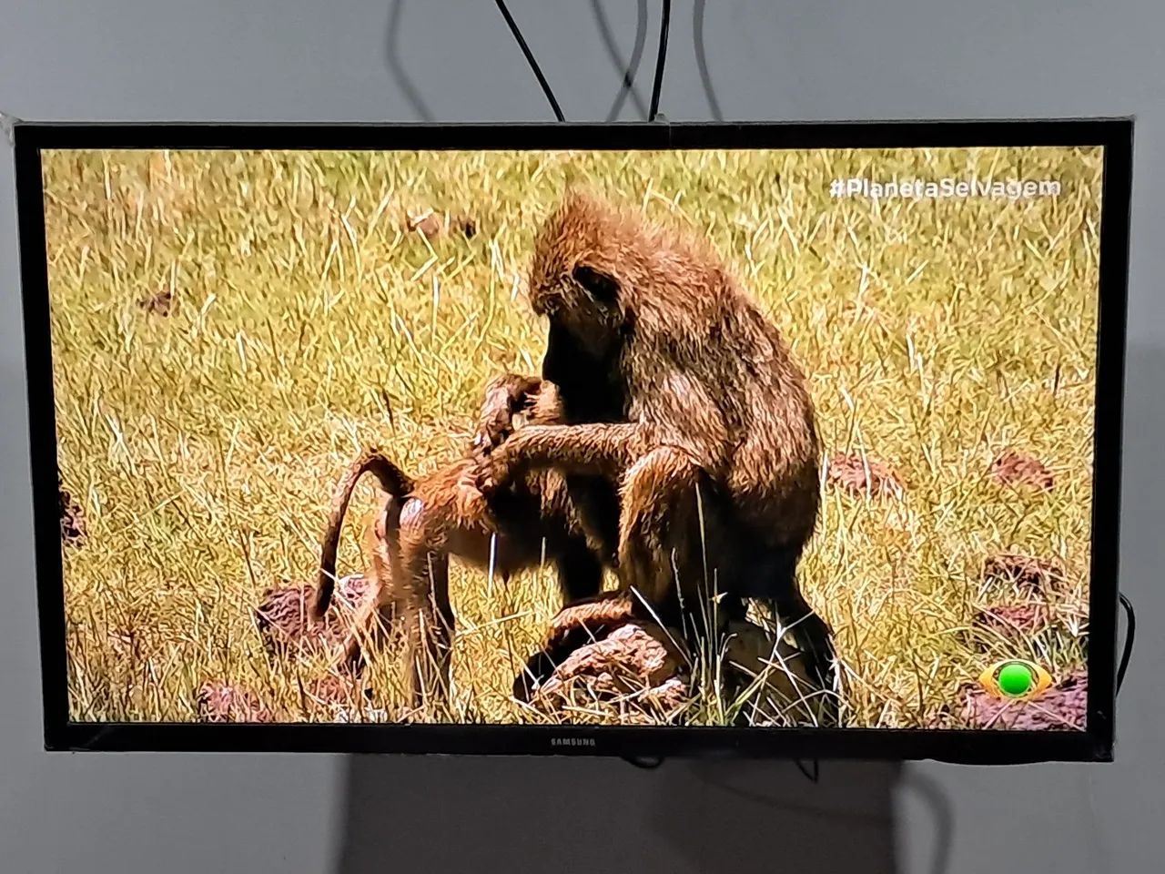 Tv Samsung 32 polegadas praticamente sem uso, tudo funcionando perfeitamente 