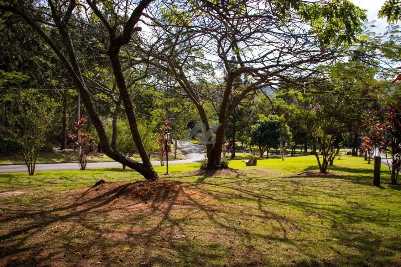 terreno - Joaquim Egídio - Campinas - Foto 5