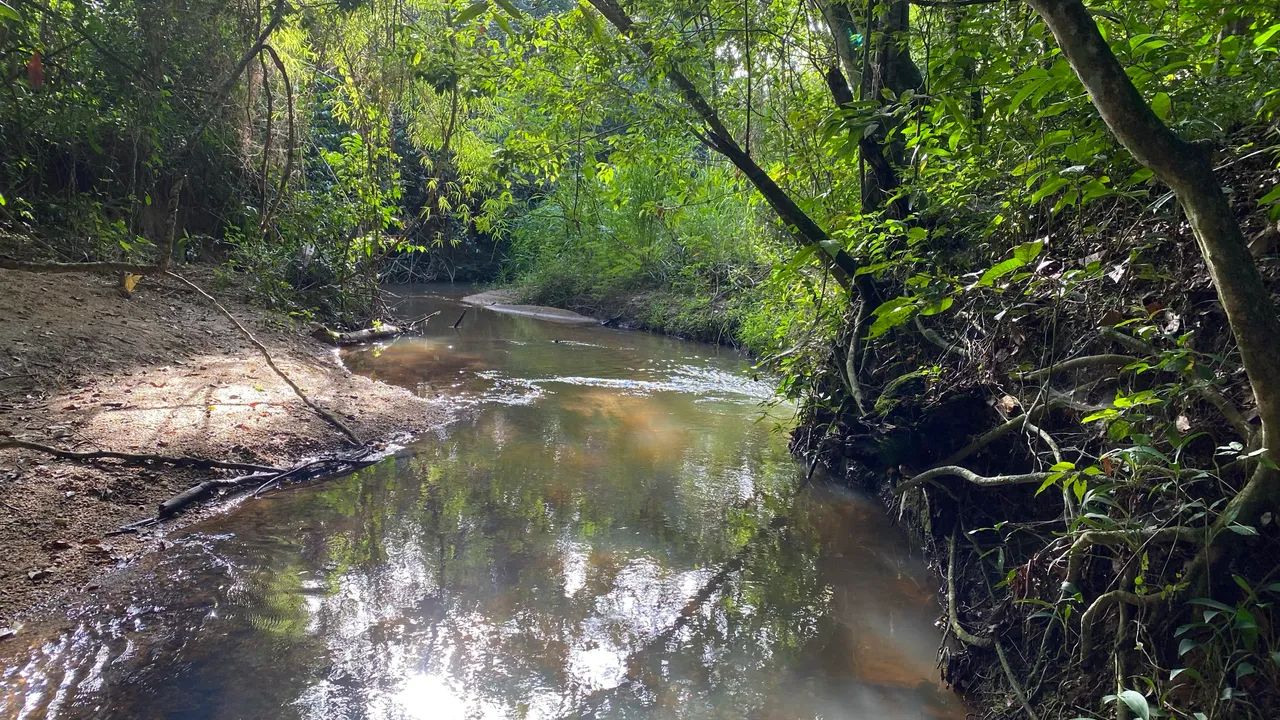 Chácara com rancho e córrego no fundo com 50mil de entrada! - Foto 2