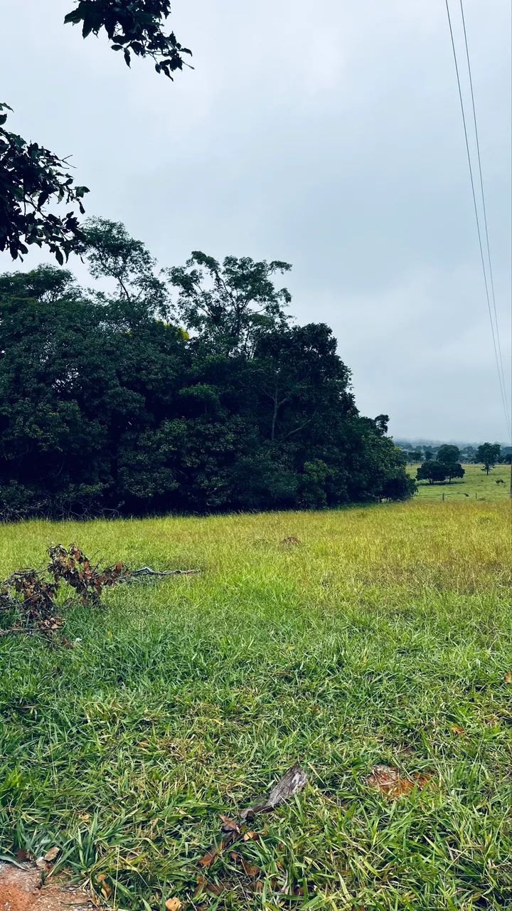 CHÁCARA À VENDA - OPORTUNIDADE - Foto 2