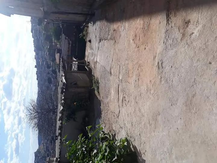 Casa no Independência 4a seção  - Foto 3