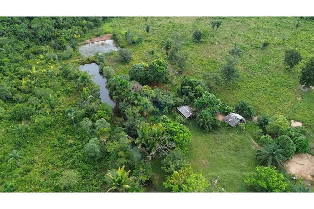 Sítio de 98 Hectares com 500 Metros de Frente para a BR-319 - Foto 3