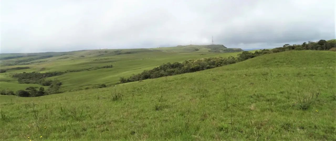 Portal da Boa Vista- Serra Catarinense - Foto 3