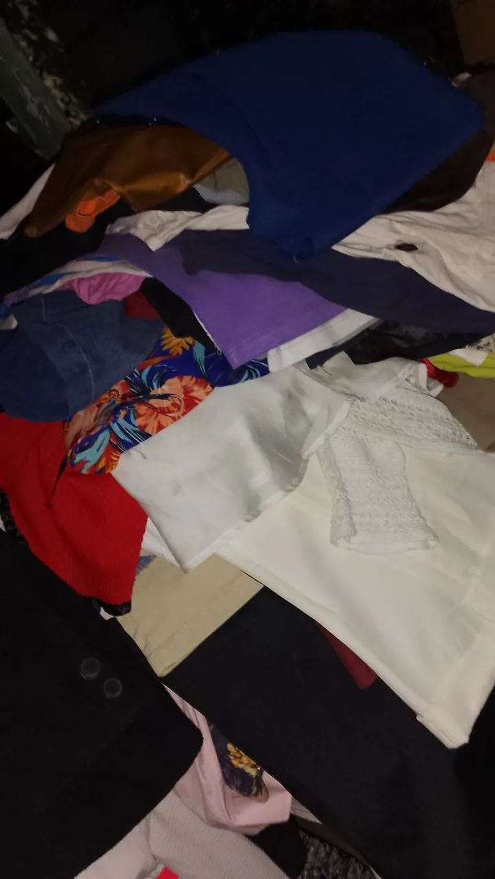 Lote de roupas 
