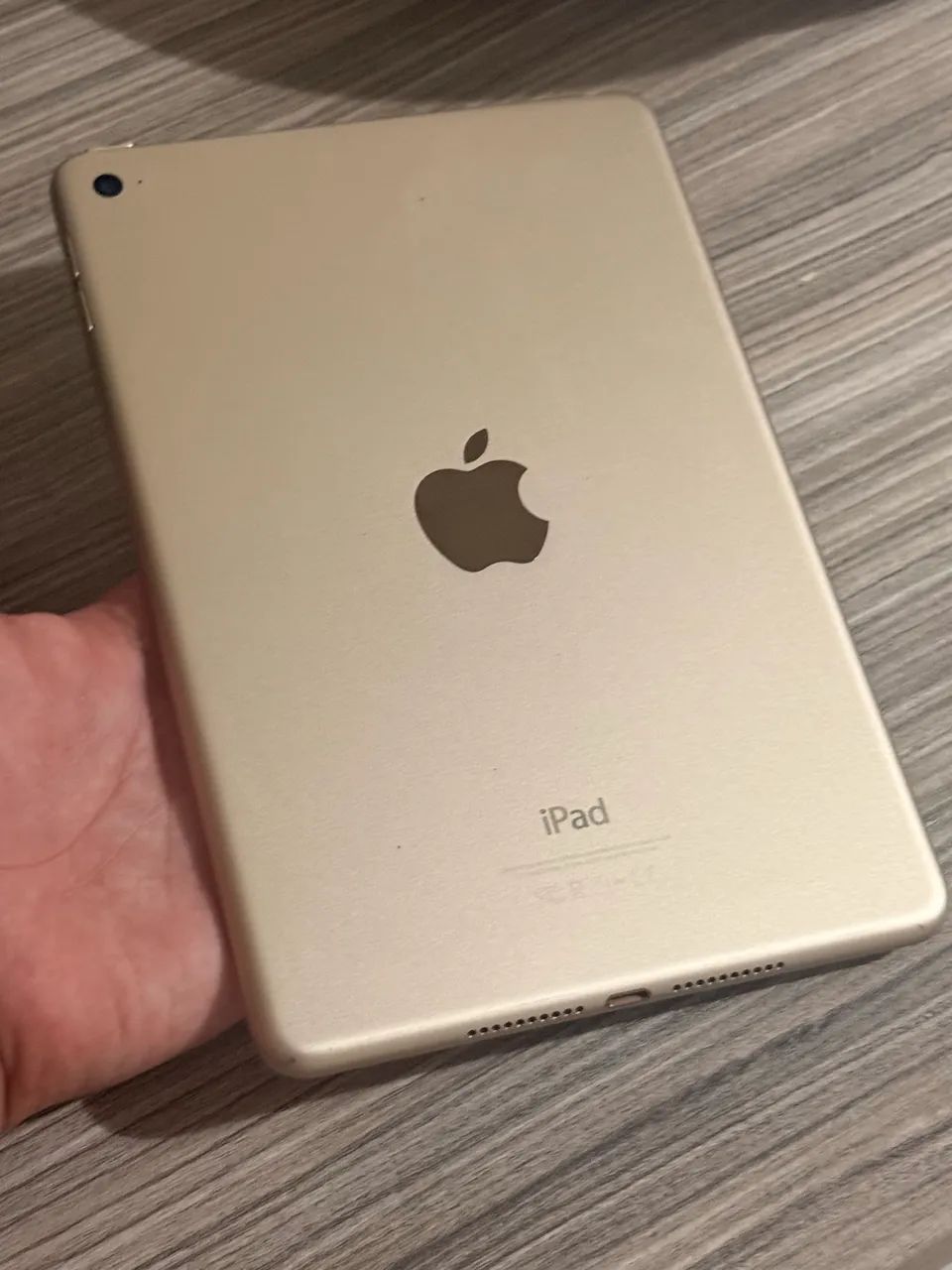 Ipad Mini 4