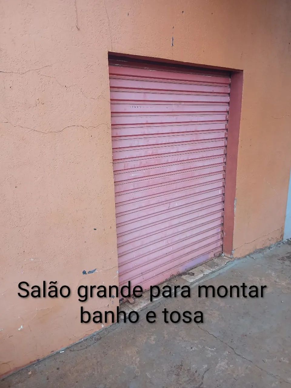 VENDE-SE PET SHOP NA RUA MAIS MOVIMENTADA DO BURIT - Foto 10