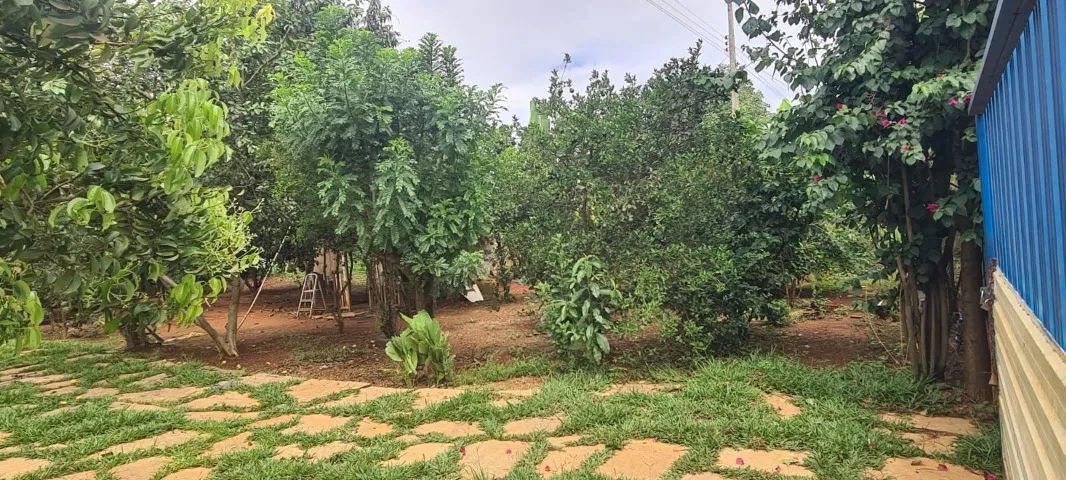Foto - Brasília - Arapoanga