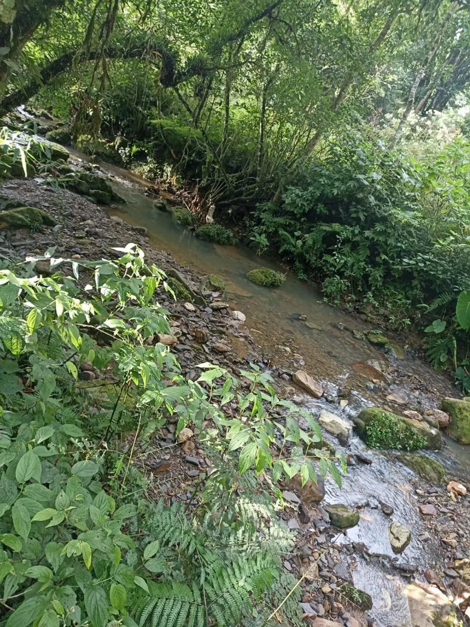 Linda chácara em Rancho Queimado  - Foto 5