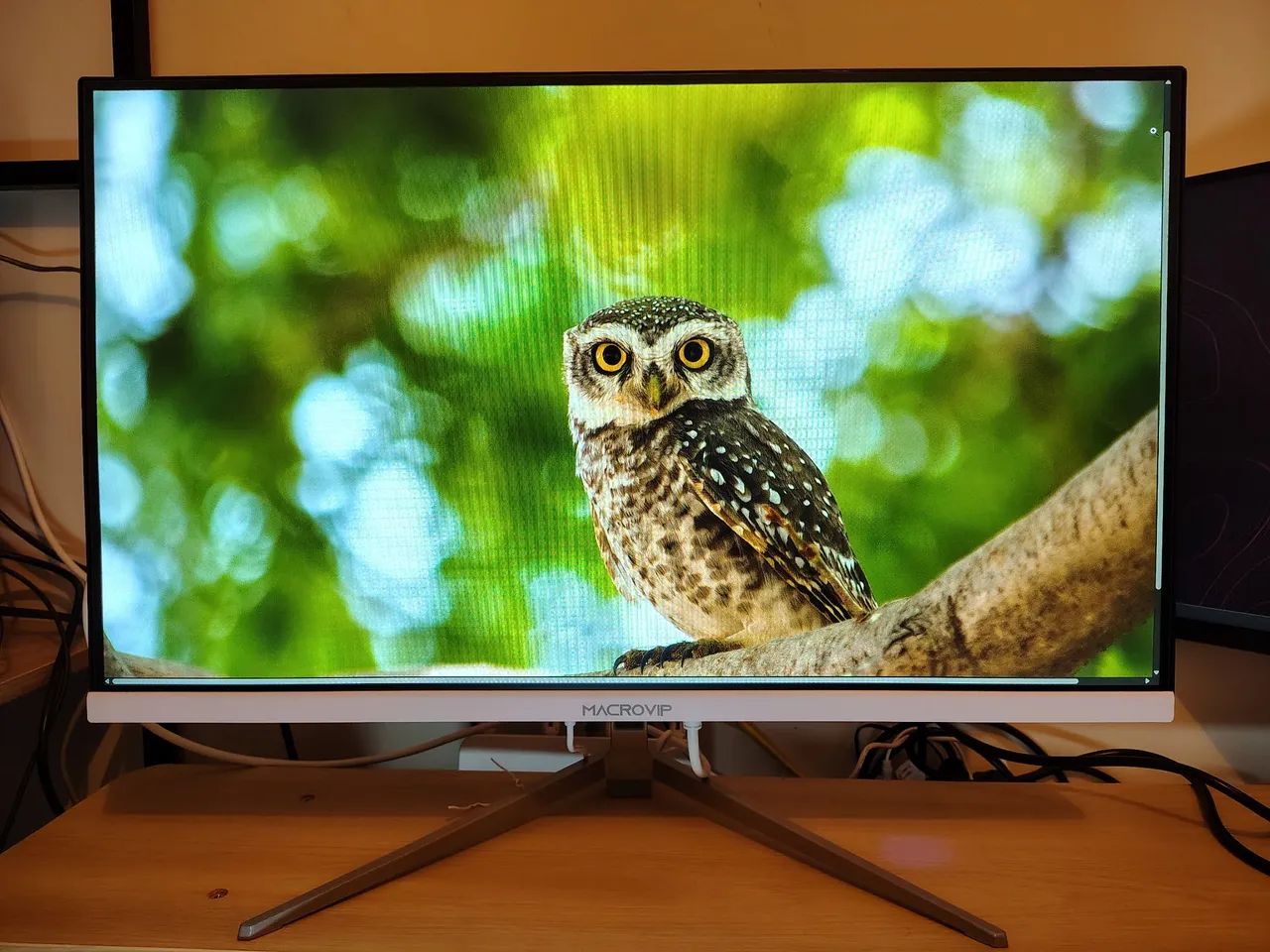 Monitor 27 polegadas Full HD 100Hz Macrovip