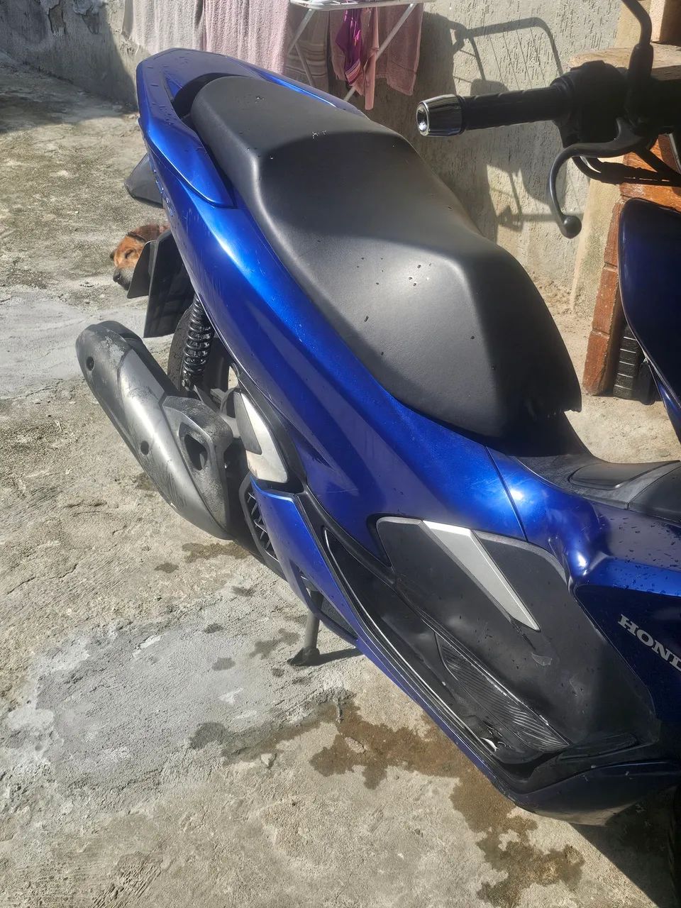 PCX - Foto 3