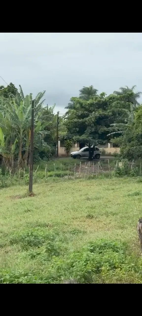 Granja em Areia 
