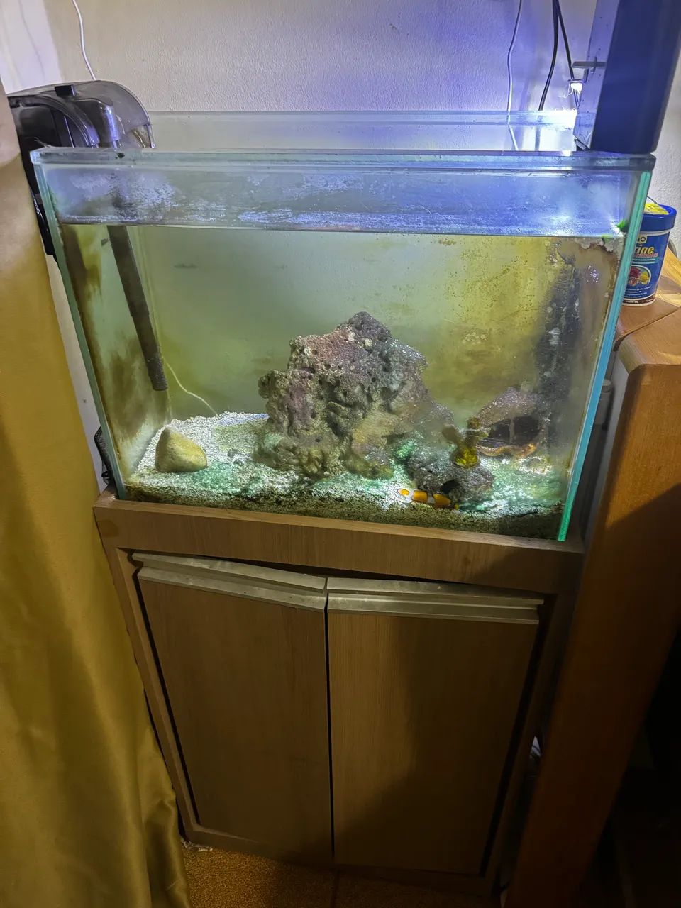 Aquário 20 litros 